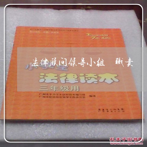 法律顾问领导小组 职责 法律顾问领导小组 职责
